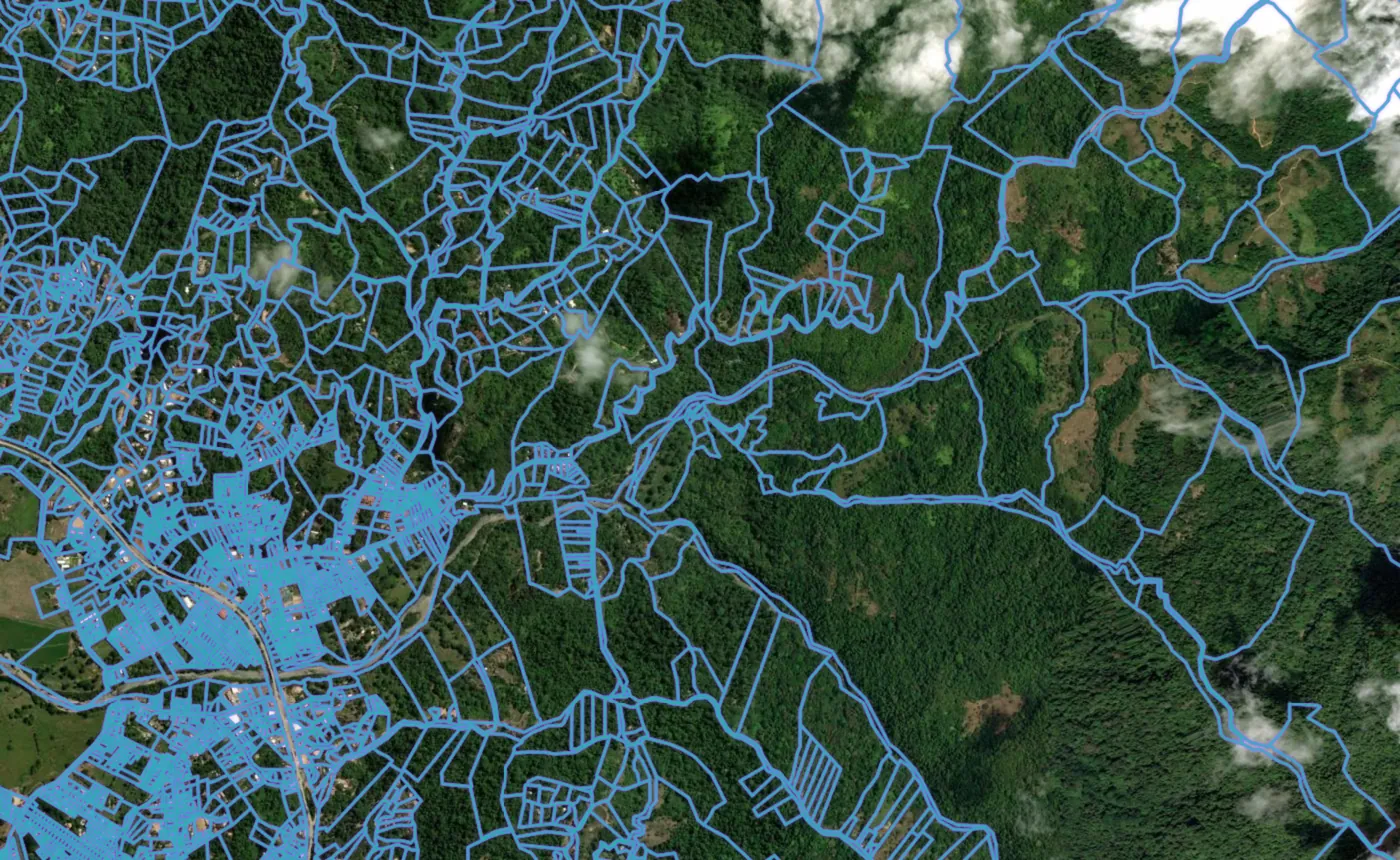 Satellite view of Bahía Ballena with the official cadastre lines