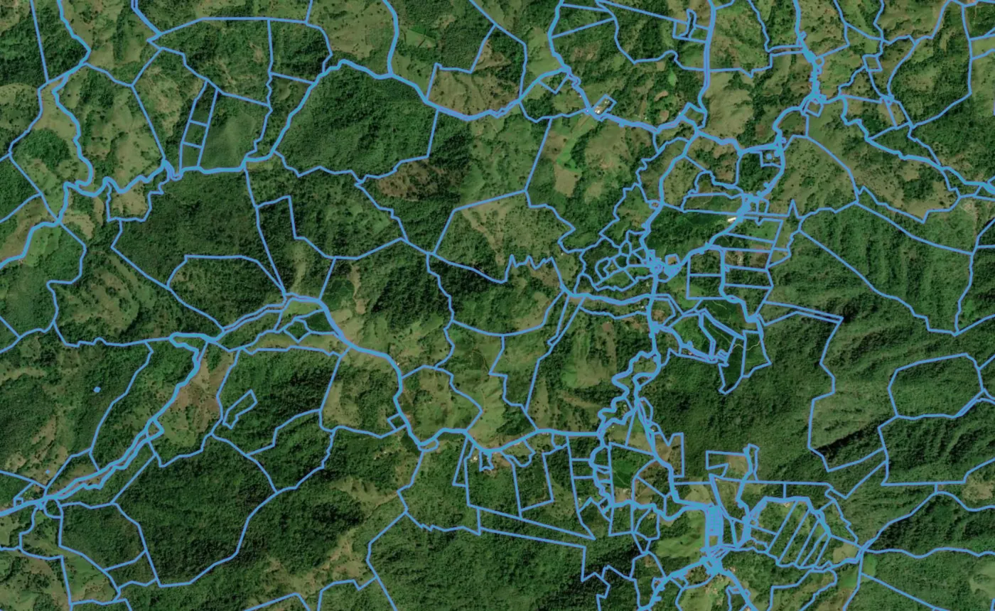 Satellite view of Hojancha with the official cadastre lines