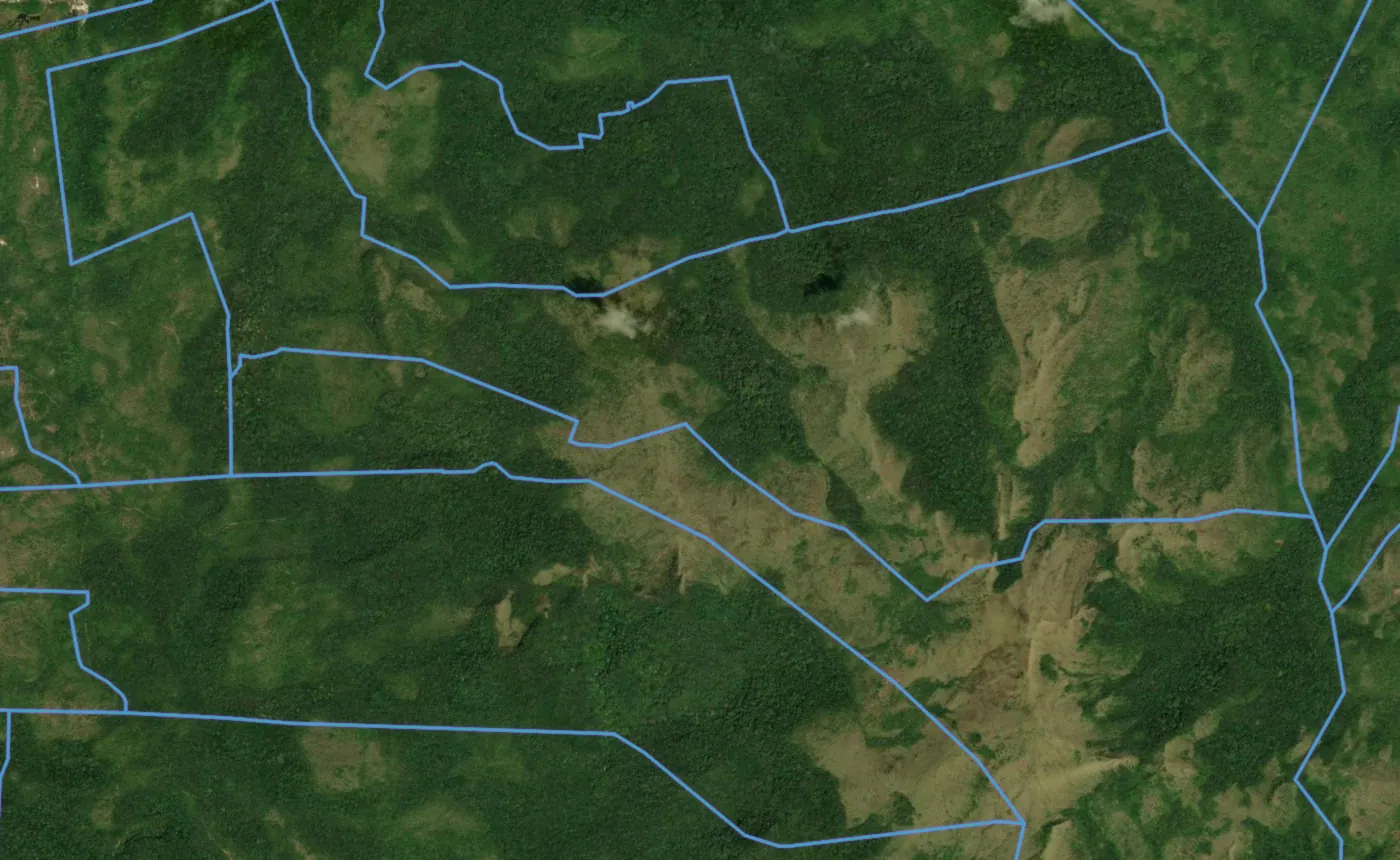 Satellite view of La Cruz with the official cadastre lines