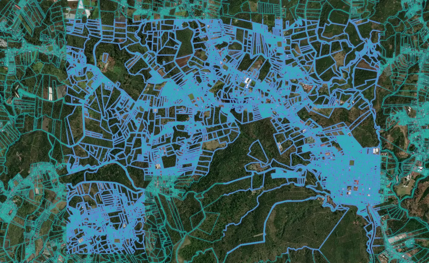 Satellite view of Naranjo with the official cadastre lines