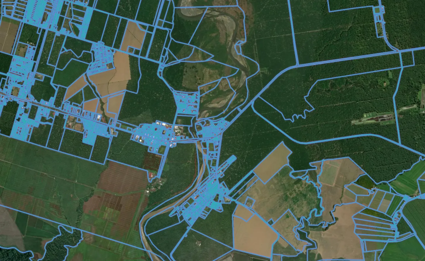 Satellite view of Parrita with the official cadastre lines