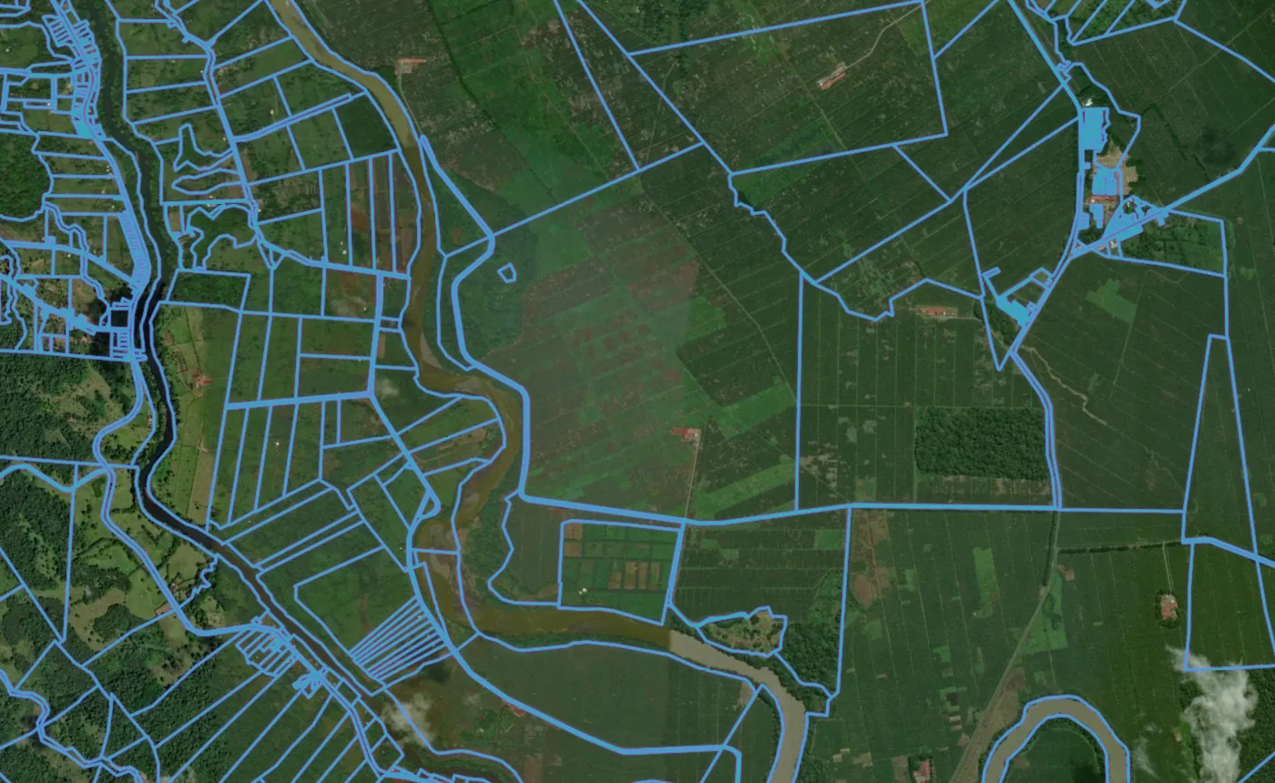 Satellite view of Sarapiquí with the official cadastre lines