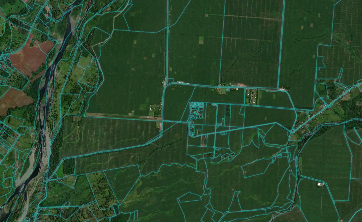 Satellite view of Siquirres with the official cadastre lines