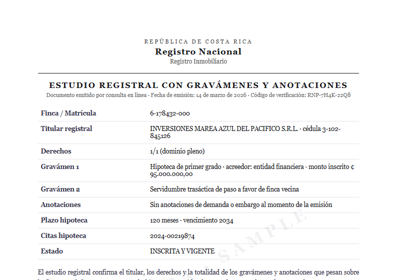 Sample Full registry study / liens document