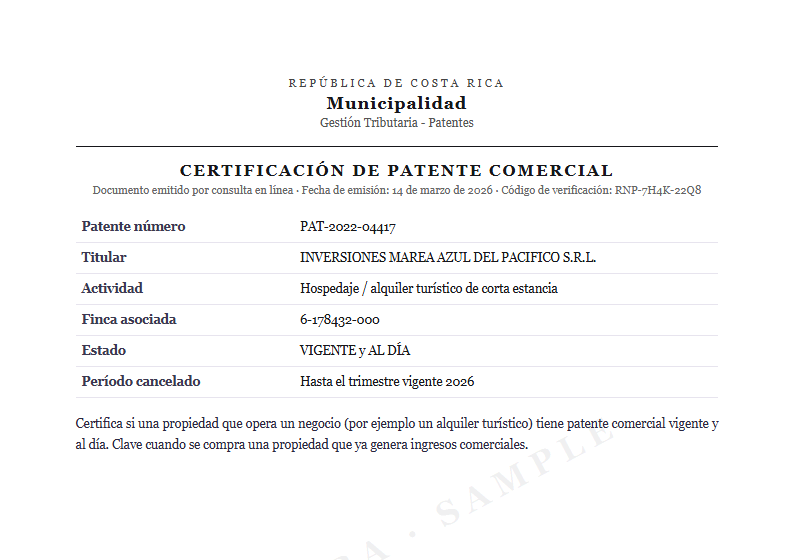 Sample Business license status document